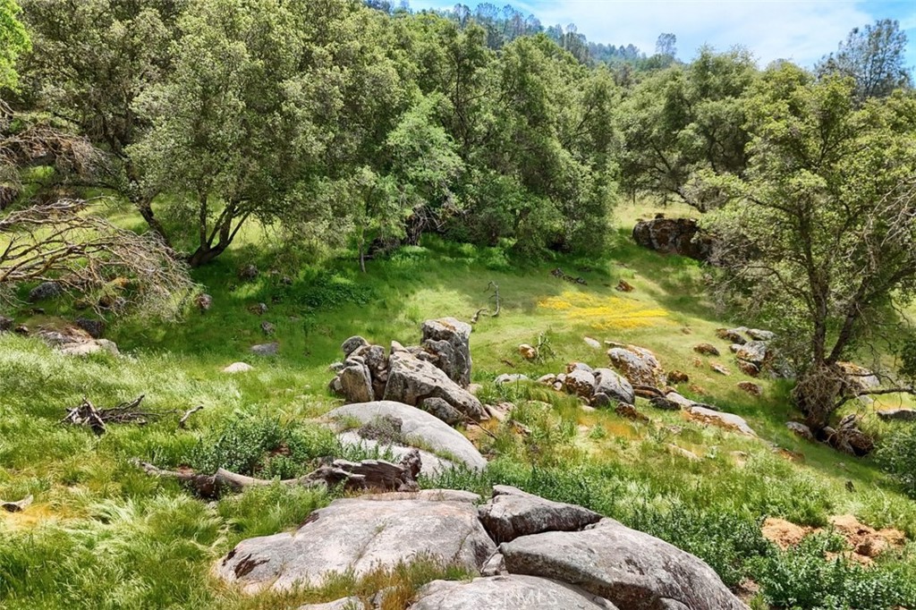 32028 Cattle Way, Coarsegold, CA 93614