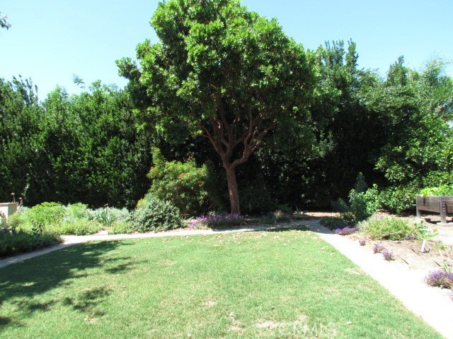 1072 Rorden Ave, Selma, CA 93662