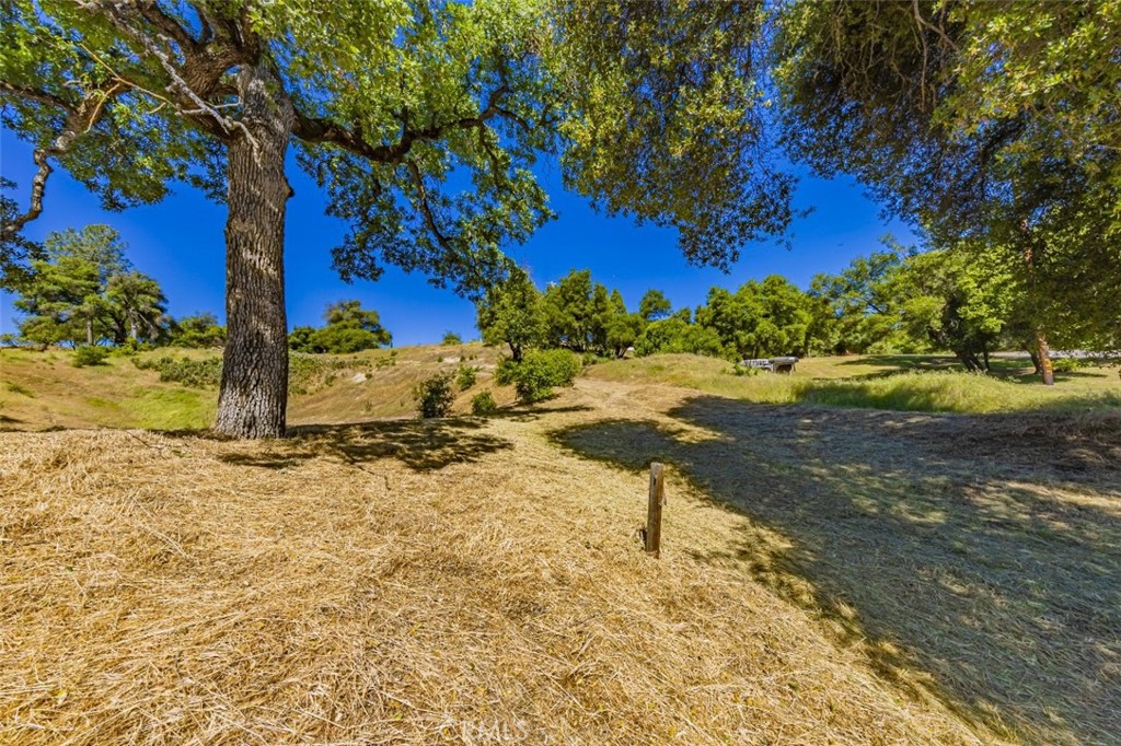42514 Highway 49, Ahwahnee, CA 93601