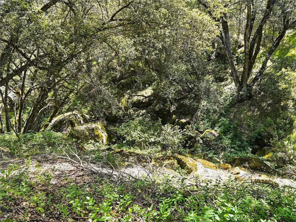 49628 Stillmeadow, Oakhurst, CA 93644