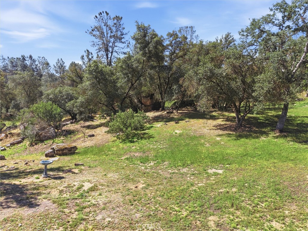 42704 Deep Forest, Coarsegold, CA 93614