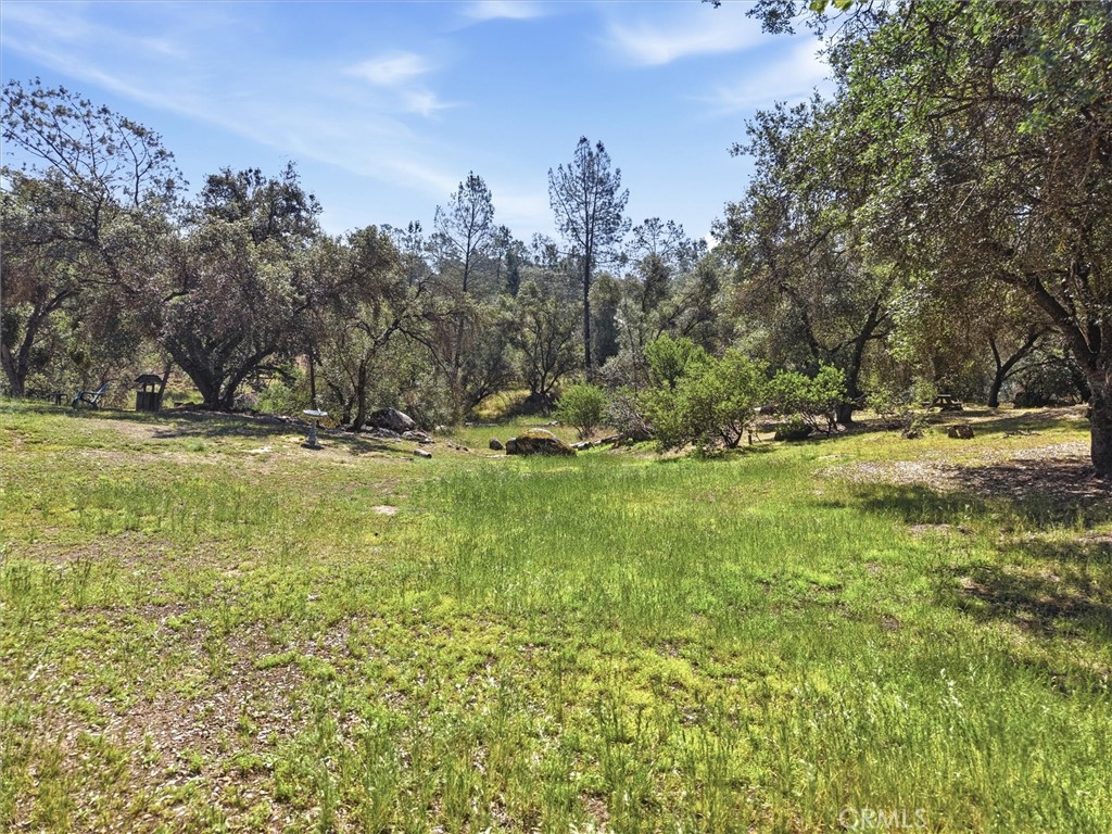 42704 Deep Forest, Coarsegold, CA 93614