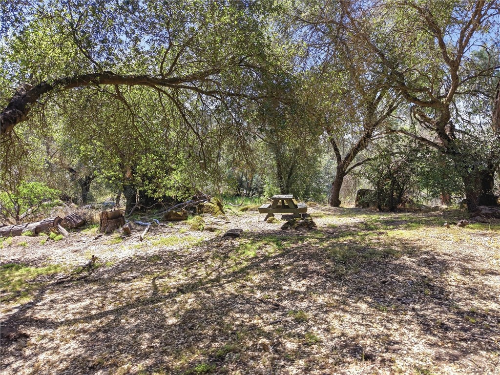 42704 Deep Forest, Coarsegold, CA 93614