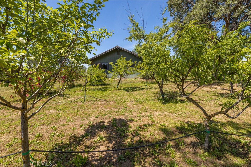31477 Erie, Coarsegold, CA 93614