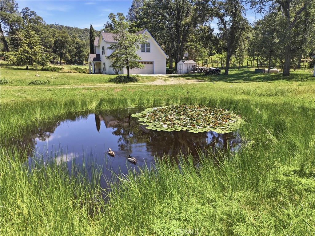 50655 Barcus Cir, Coarsegold, CA 93614