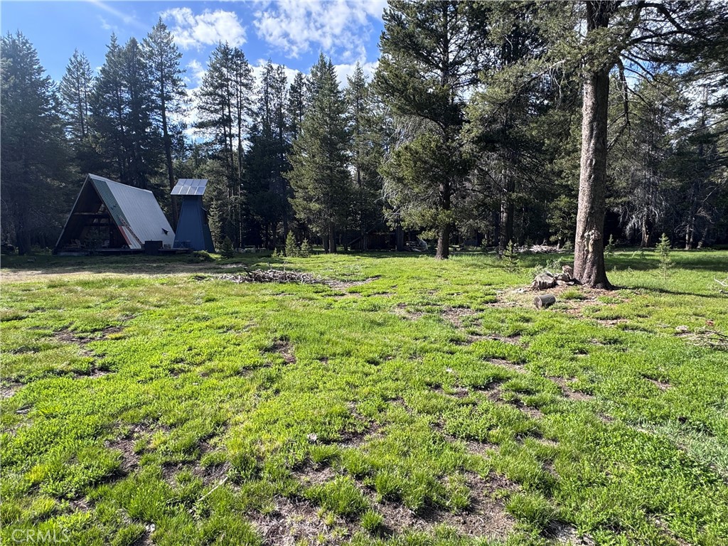 10 Beasore Rd, Bass Lake, CA 93604