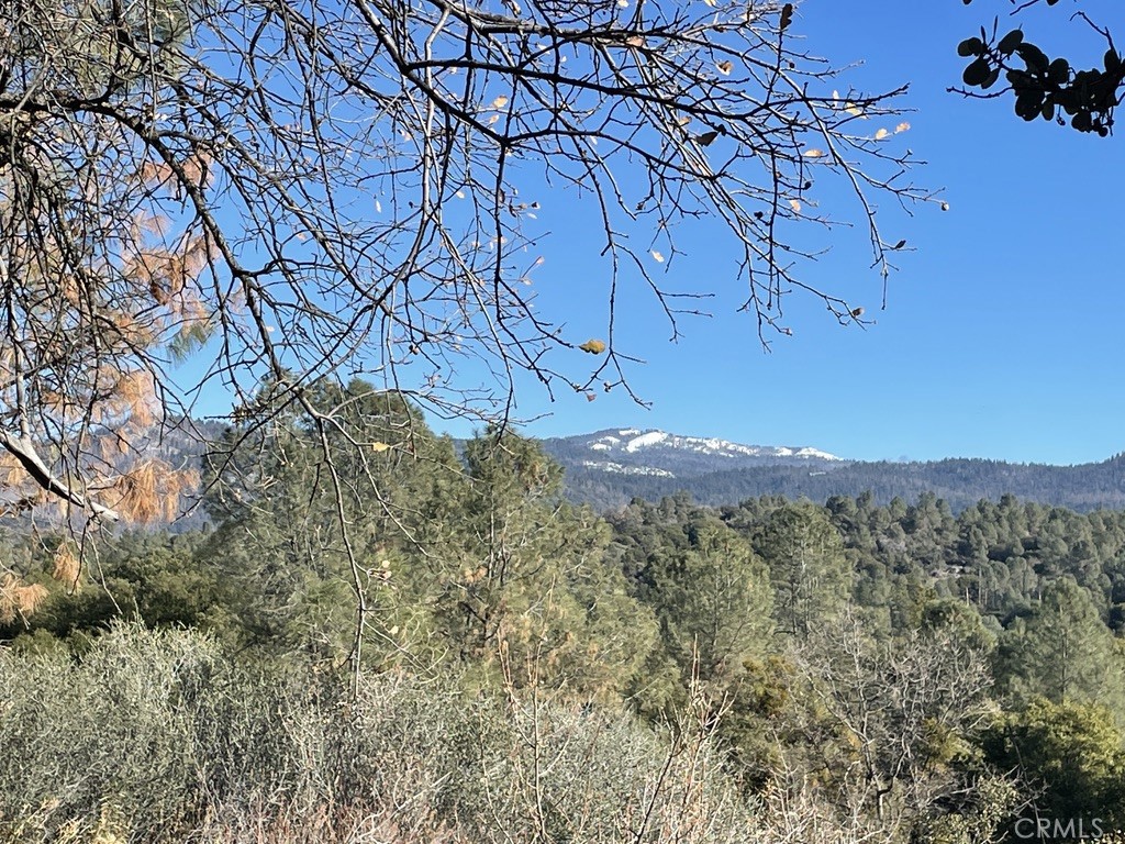 43016 Sunshine Mountain, Oakhurst, CA 93644