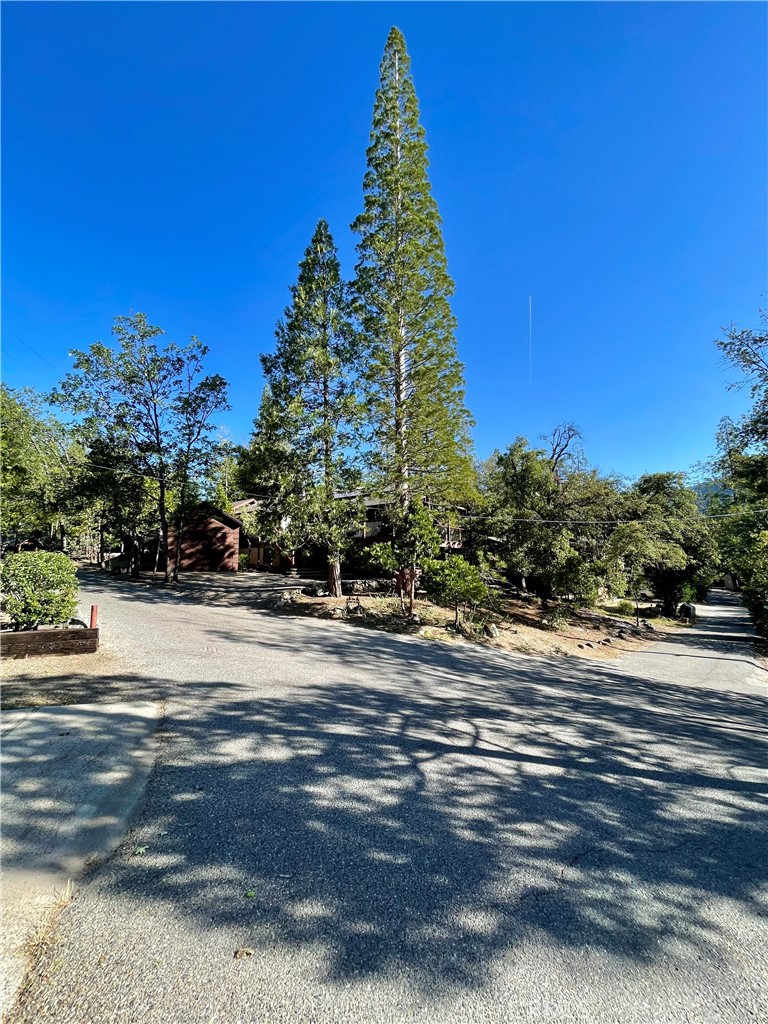 54825 Willow, Bass Lake, CA 93604