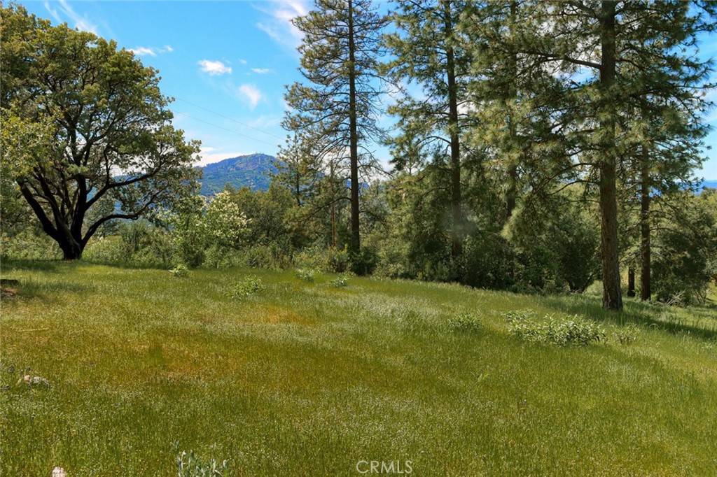 8 Lot Timberwood Ln, Oakhurst, CA 93644