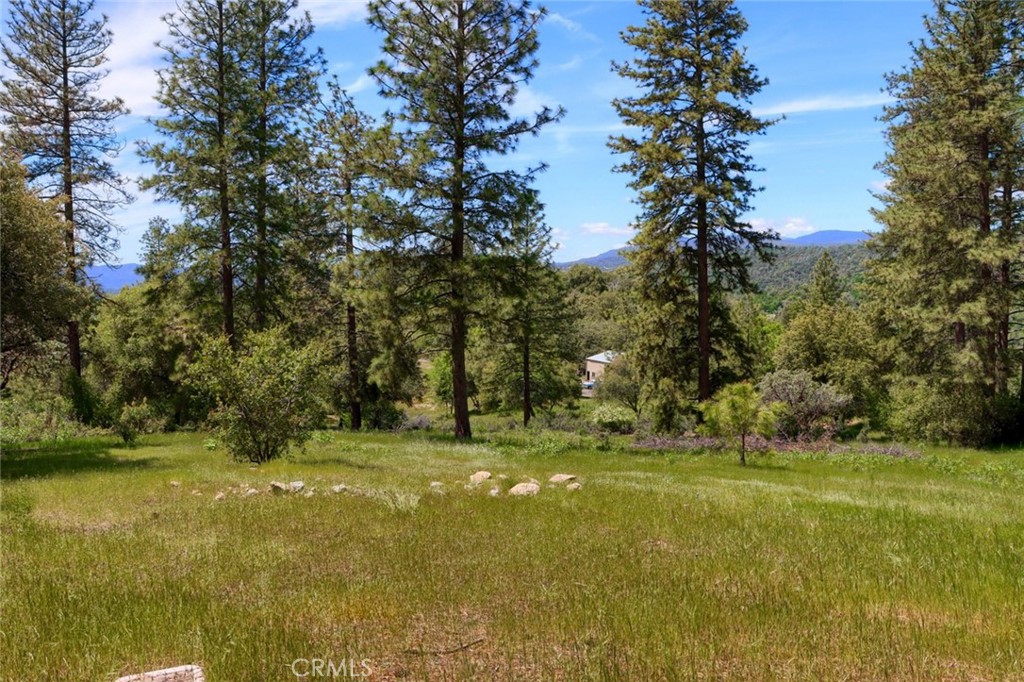 8 Lot Timberwood Ln, Oakhurst, CA 93644