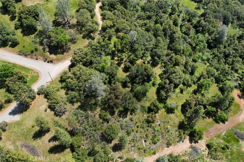 8 Lot Timberwood Ln, Oakhurst, CA 93644