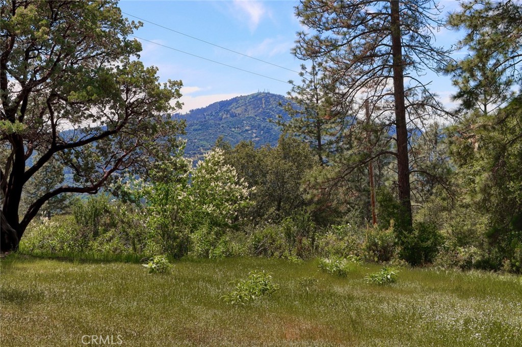 8 Lot Timberwood Ln, Oakhurst, CA 93644