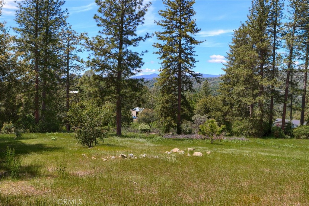 8 Lot Timberwood Ln, Oakhurst, CA 93644