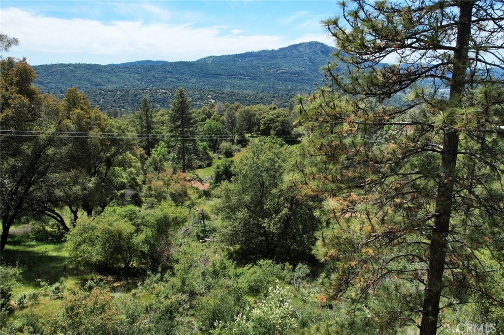 8 Lot Timberwood Ln, Oakhurst, CA 93644
