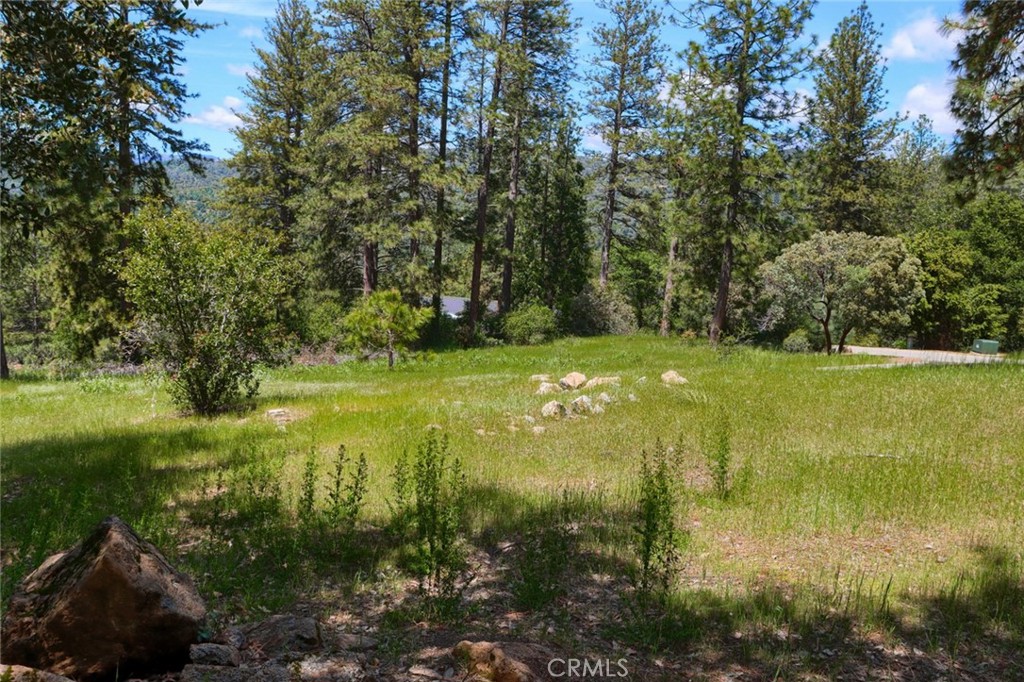 8 Lot Timberwood Ln, Oakhurst, CA 93644