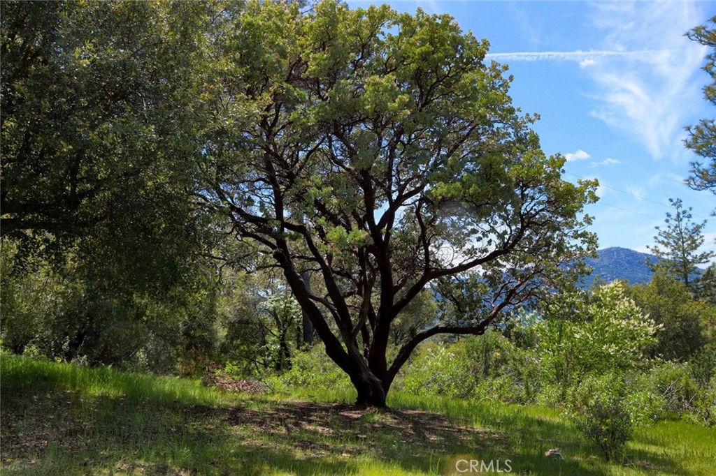 8 Lot Timberwood Ln, Oakhurst, CA 93644