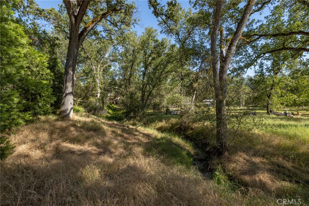 48866 Rock Point Rd, Oakhurst, CA 93644