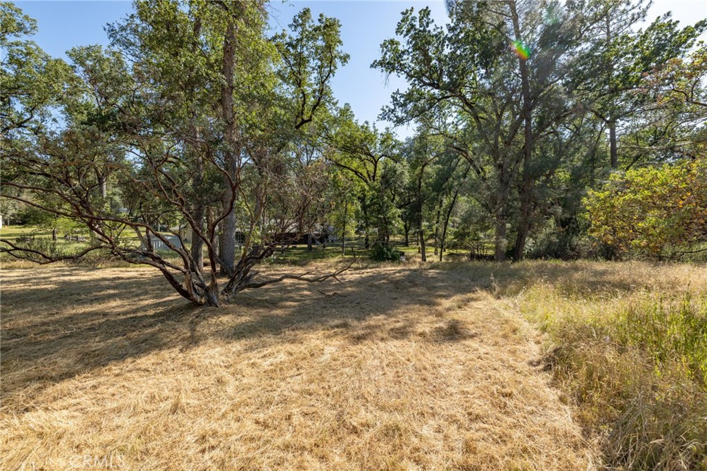 48866 Rock Point Rd, Oakhurst, CA 93644