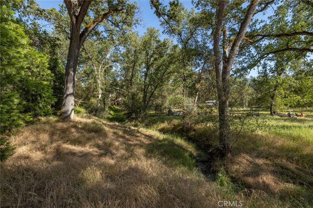 48866 Rock Point Rd, Oakhurst, CA 93644