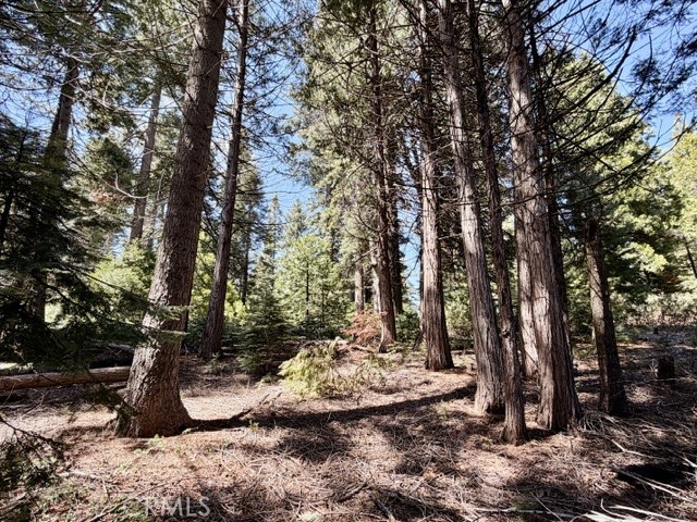 7631 Forest, Fish Camp, CA 93623