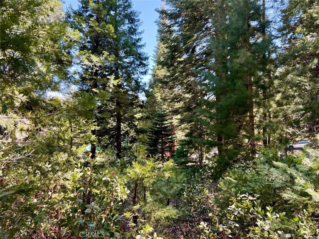 7631 Forest, Fish Camp, CA 93623