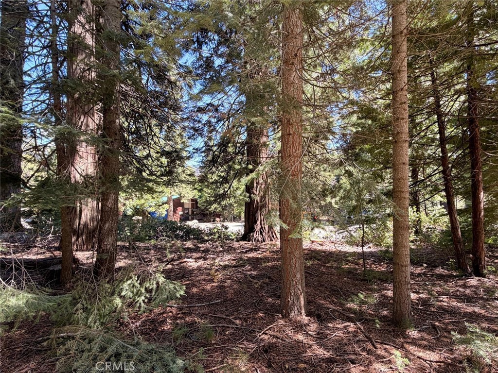 7631 Forest, Fish Camp, CA 93623