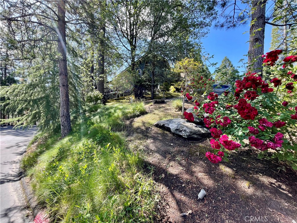 50852 Smoke Tree, Bass Lake, CA 93604