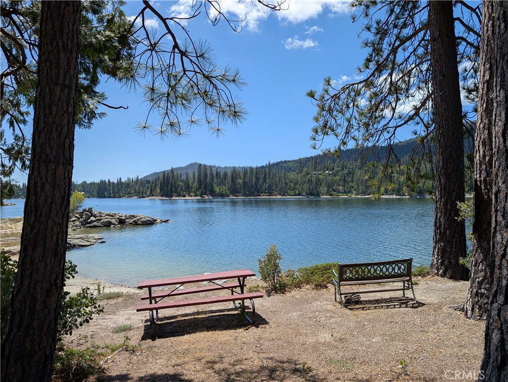 38980 Lake Point Ct, Bass Lake, CA 93604