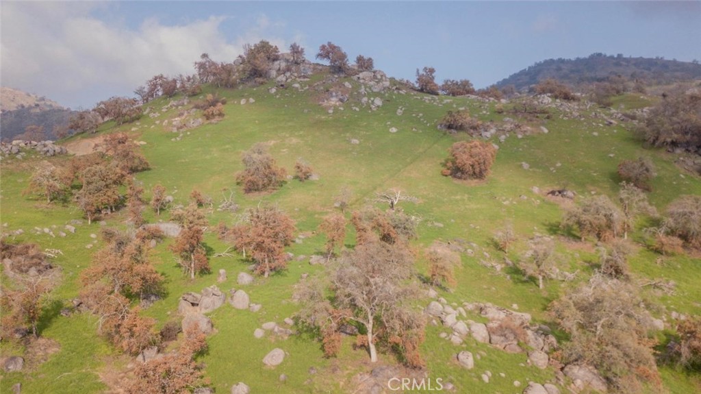 38938 Pepperweed Rd, Squaw Valley, CA 93675