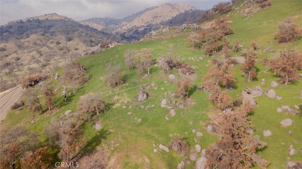 38938 Pepperweed Rd, Squaw Valley, CA 93675