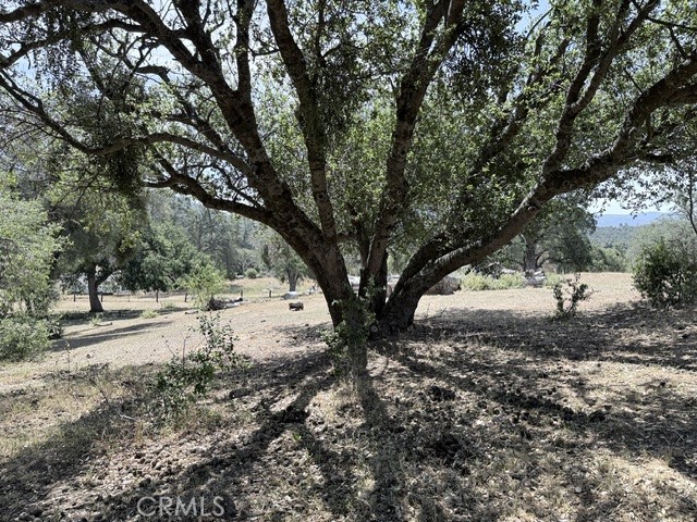 58292 block of Road 225, North Fork, CA 93643