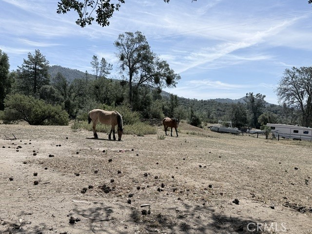 58292 block of Road 225, North Fork, CA 93643
