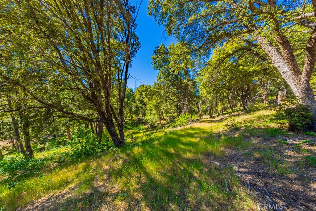 0 3 Springs Rd, Oakhurst, CA 93644