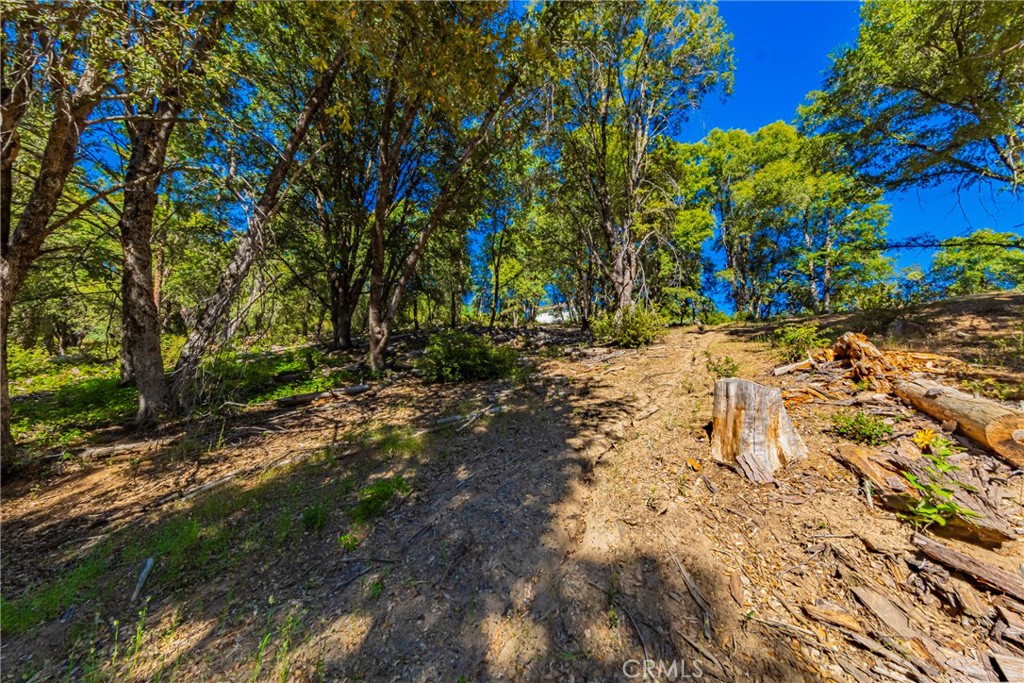 0 3 Springs Rd, Oakhurst, CA 93644