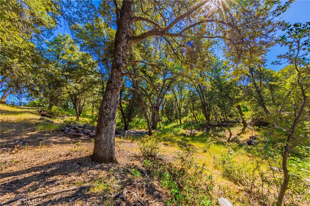 0 3 Springs Rd, Oakhurst, CA 93644