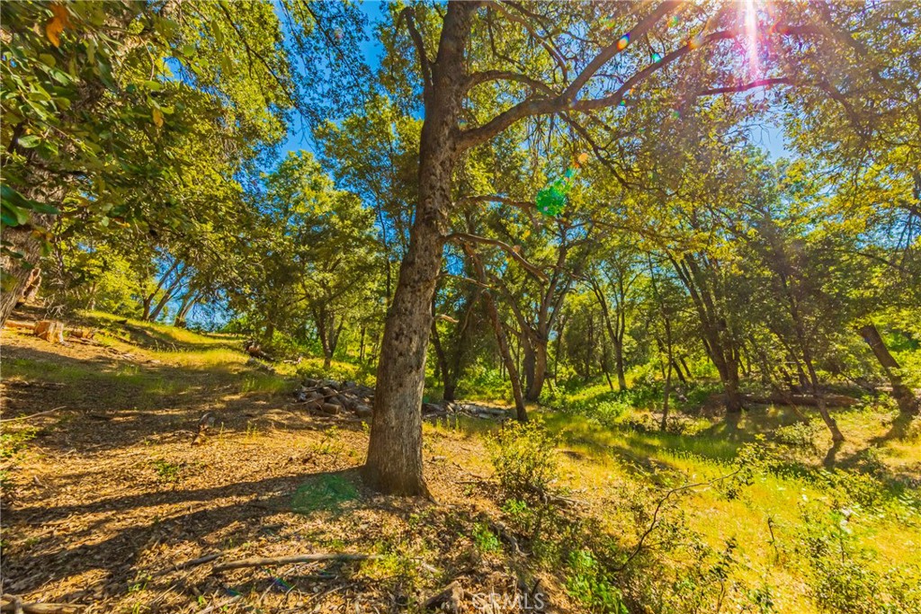 0 3 Springs Rd, Oakhurst, CA 93644