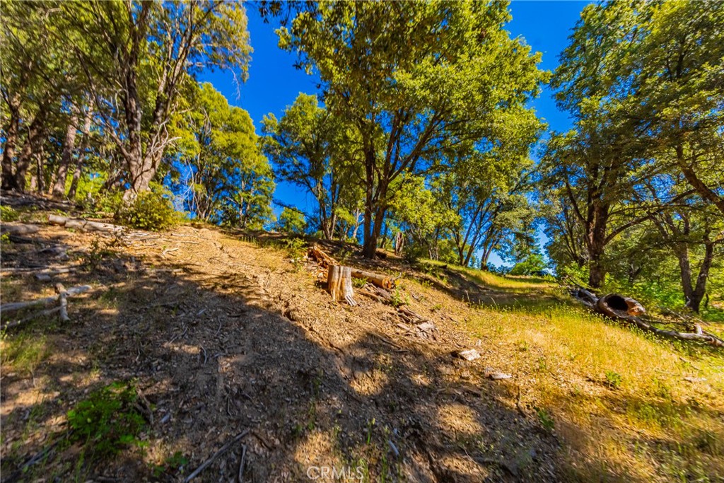 0 3 Springs Rd, Oakhurst, CA 93644