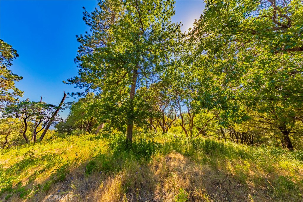 0 3 Springs Rd, Oakhurst, CA 93644