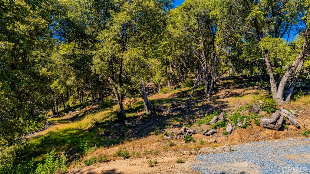 0 3 Springs Rd, Oakhurst, CA 93644