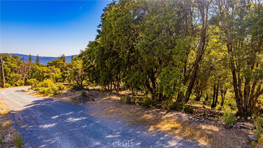 0 3 Springs Rd, Oakhurst, CA 93644