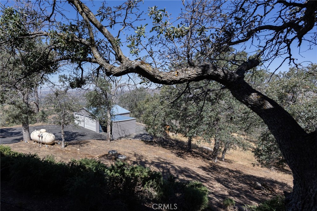 41101 Lilley Mountain, Coarsegold, CA 93614