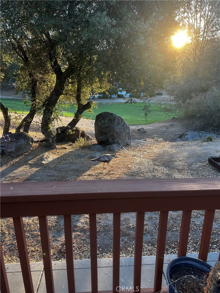 42781 Badger Circle Dr, Coarsegold, CA 93614