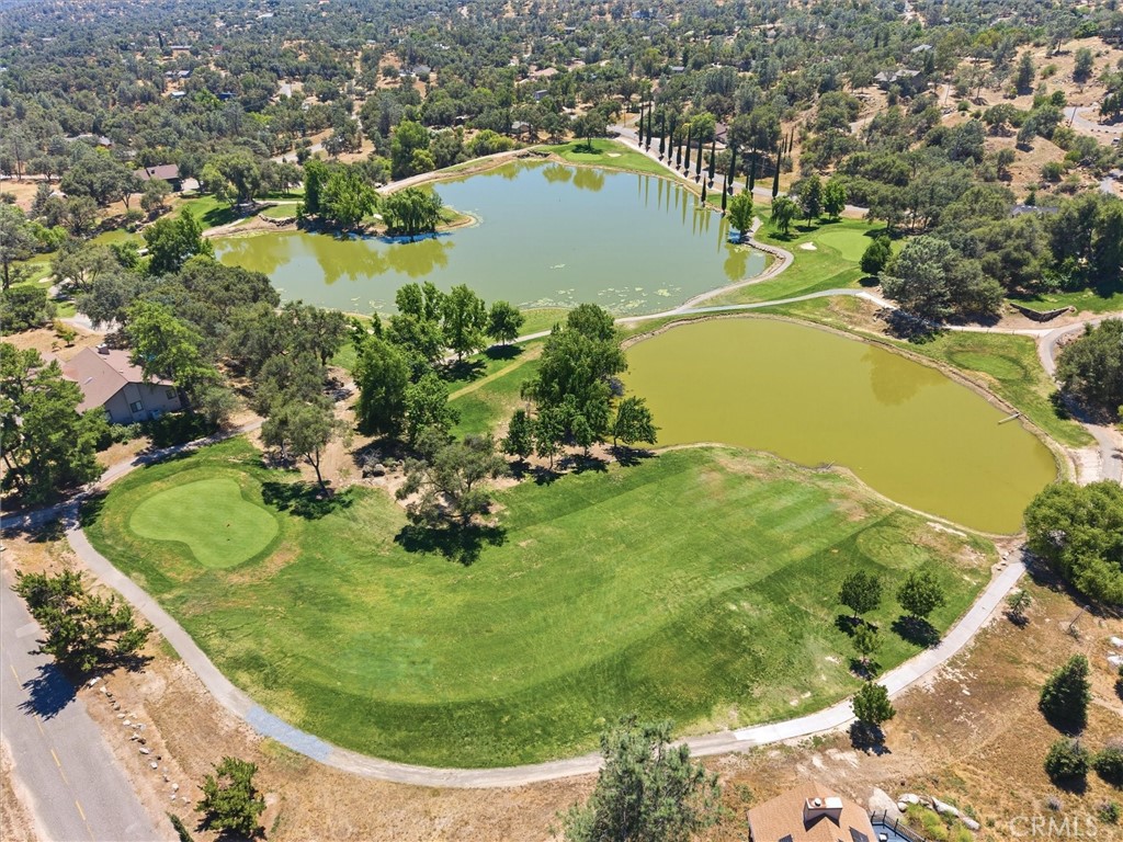 42781 Badger Circle Dr, Coarsegold, CA 93614