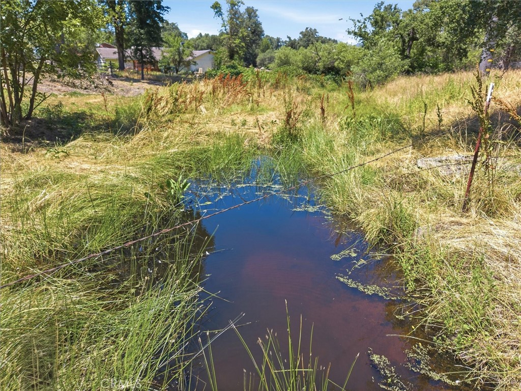 47818 Road 417, Coarsegold, CA 93614