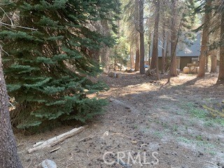 4142 Redtop, Bass Lake, CA 93604
