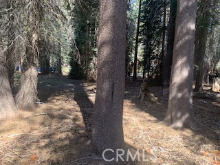 4142 Redtop, Bass Lake, CA 93604