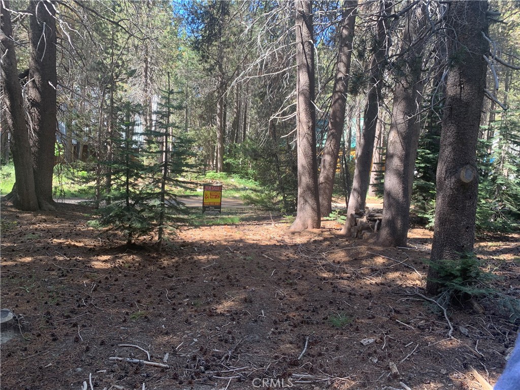 4142 Redtop, Bass Lake, CA 93604