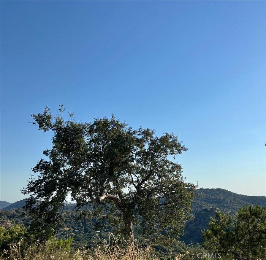 46396 Redwing, Squaw Valley, CA 93675