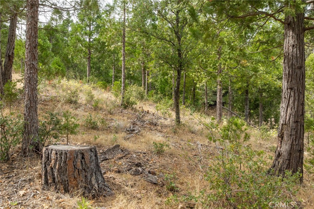 26 Timberview Rd, North Fork, CA 93643
