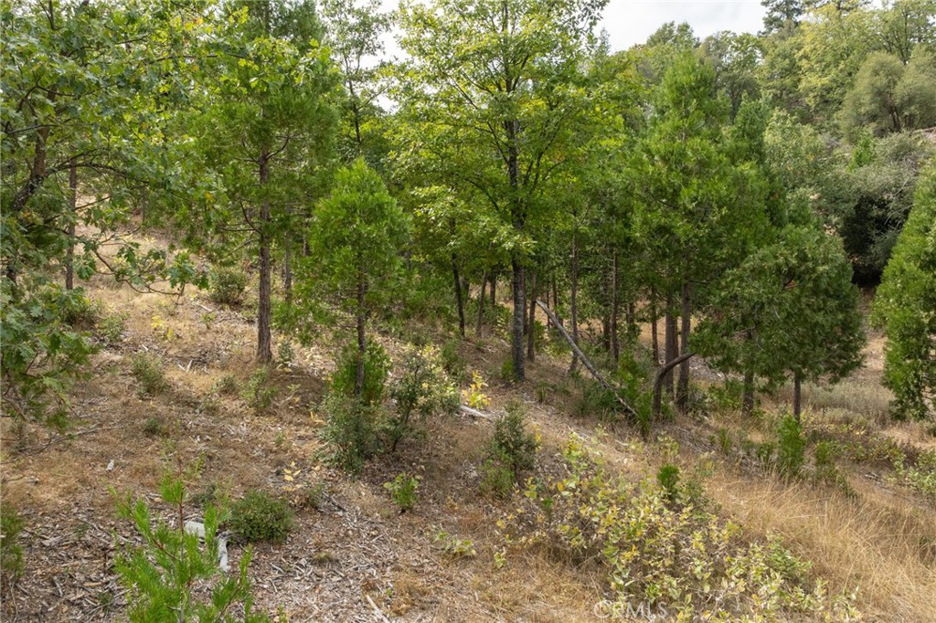 26 Timberview Rd, North Fork, CA 93643